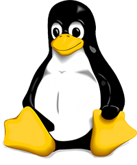 Linux virtueller server